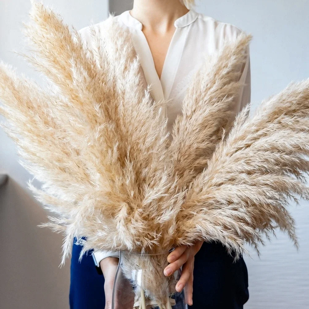 Dried Flower Bulk - 120 ซม.-130 ซม.ปุยขนาดใหญ่ Pampas Grass,แห้งธรรมชาติช่อดอกไม้,Boho งานแต่งงานตกแต่ง,Shop