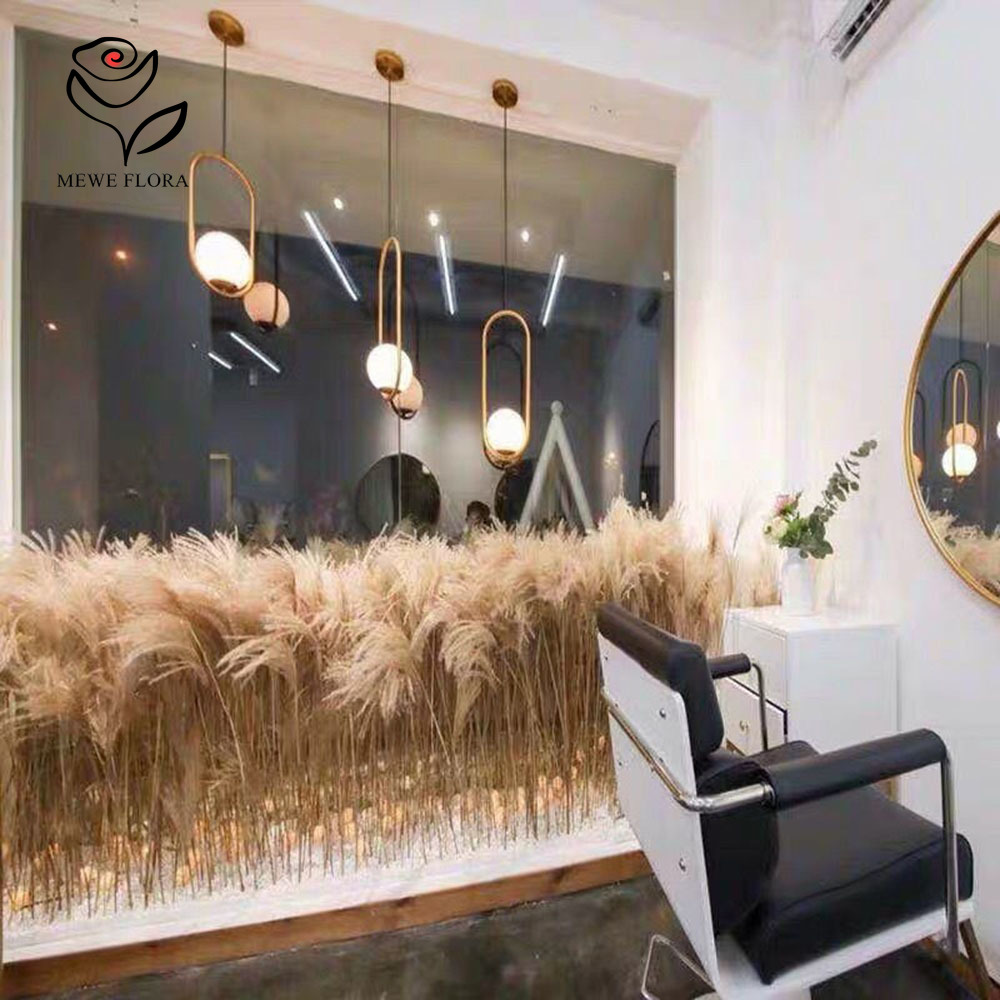 200PCS ธรรมชาติแห้ง Fluffy Ree - Dried Flower Bulk บทวิจารณ์และราคา