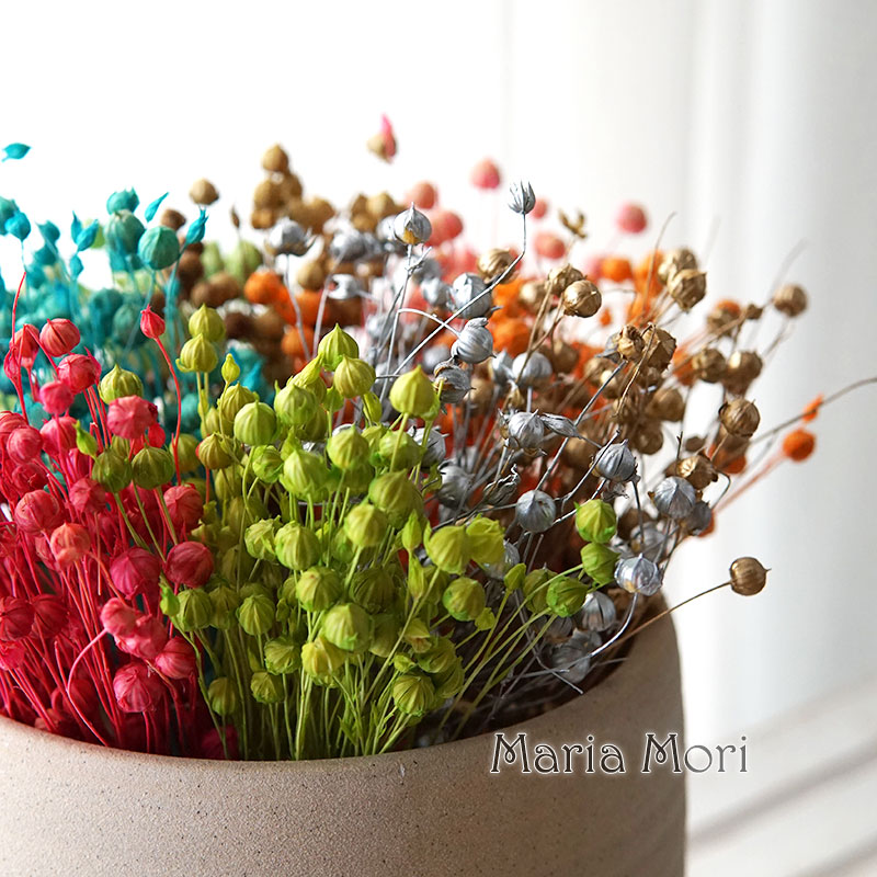 5 กรัม/เมล็ดแฟลกซ์อบแห้งธรรมชา - Dried Flower Bulk บทวิจารณ์และราคา