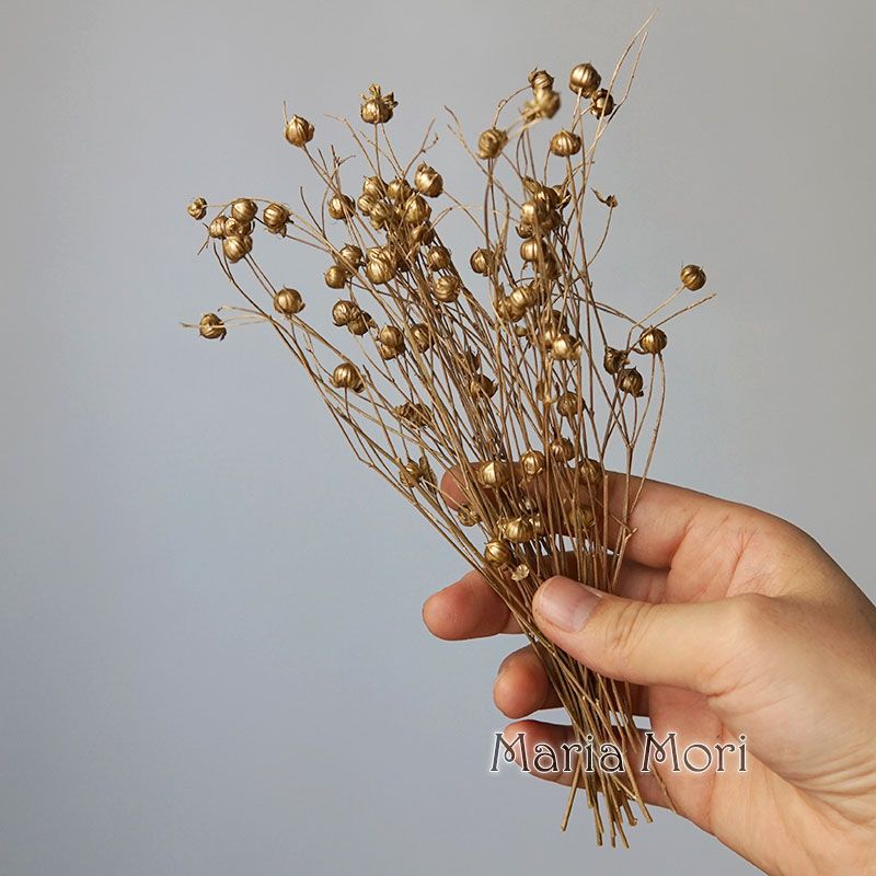 5 กรัม/เมล็ดแฟลกซ์อบแห้งธรรมชา - Dried Flower Bulk บทวิจารณ์และราคา