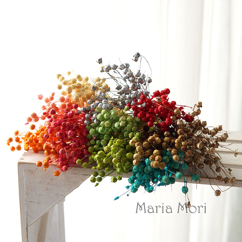 5 กรัม/เมล็ดแฟลกซ์อบแห้งธรรมชา - Dried Flower Bulk บทวิจารณ์และราคา