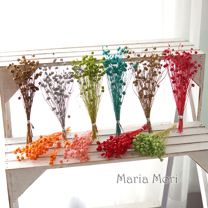 5 กรัม/เมล็ดแฟลกซ์อบแห้งธรรมชา - Dried Flower Bulk บทวิจารณ์และราคา