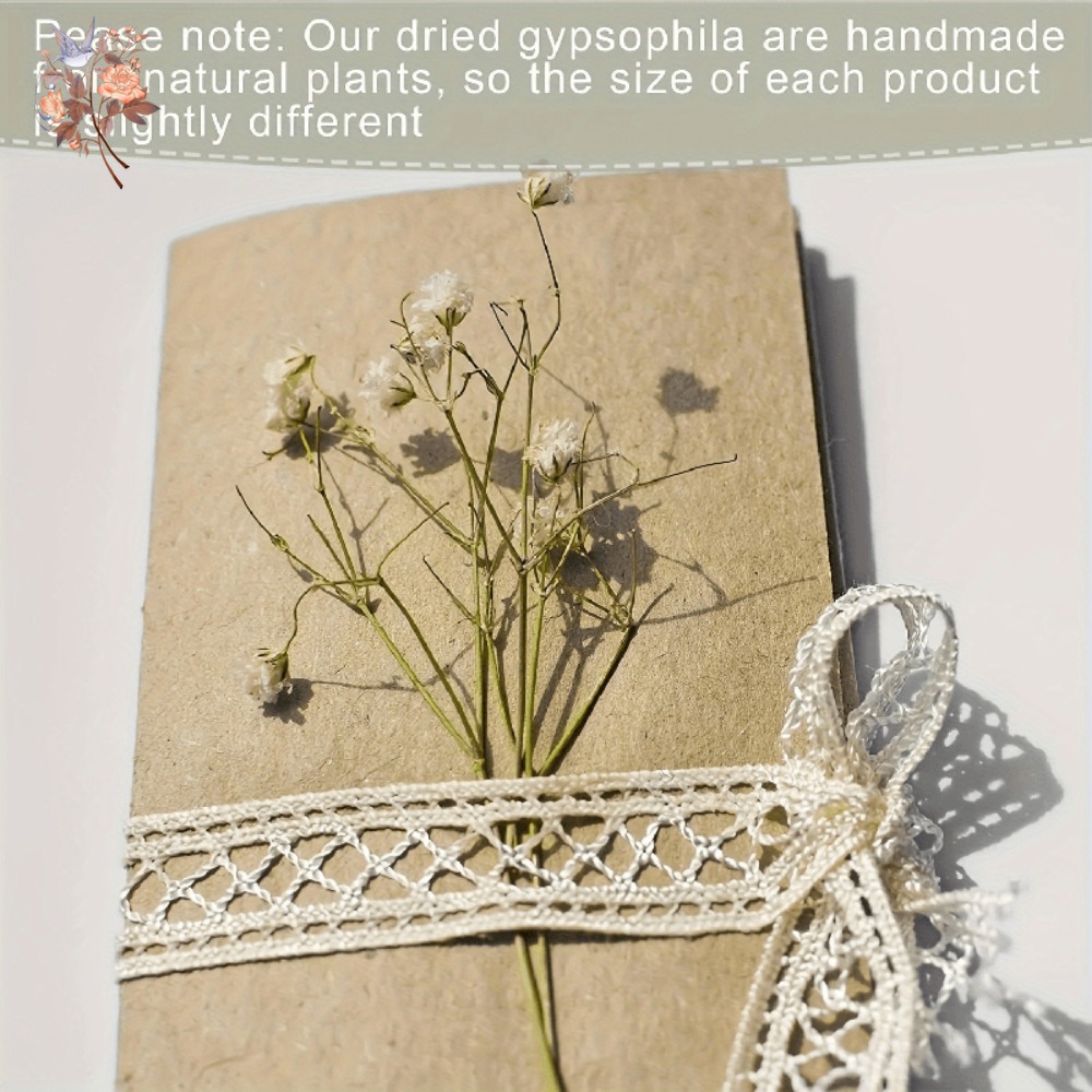 ดอกยิปโซฟิล่าแห้งขนาดเล็ก 100  - Dried Flower Bulk บทวิจารณ์และราคา